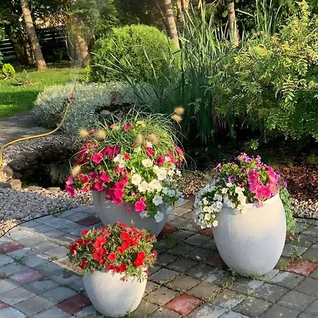 Russet & Rowanberry - Russet House Пайде