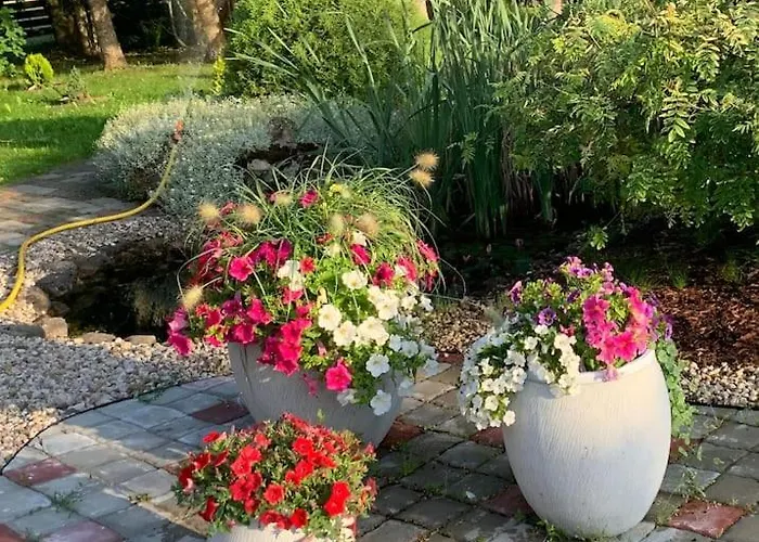 Russet & Rowanberry - Russet House Paide